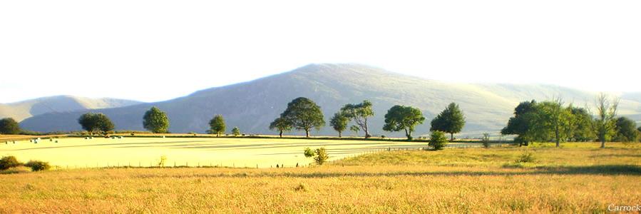 irvinehunt's profile banner image