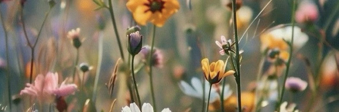 MeganMullins3's profile banner image