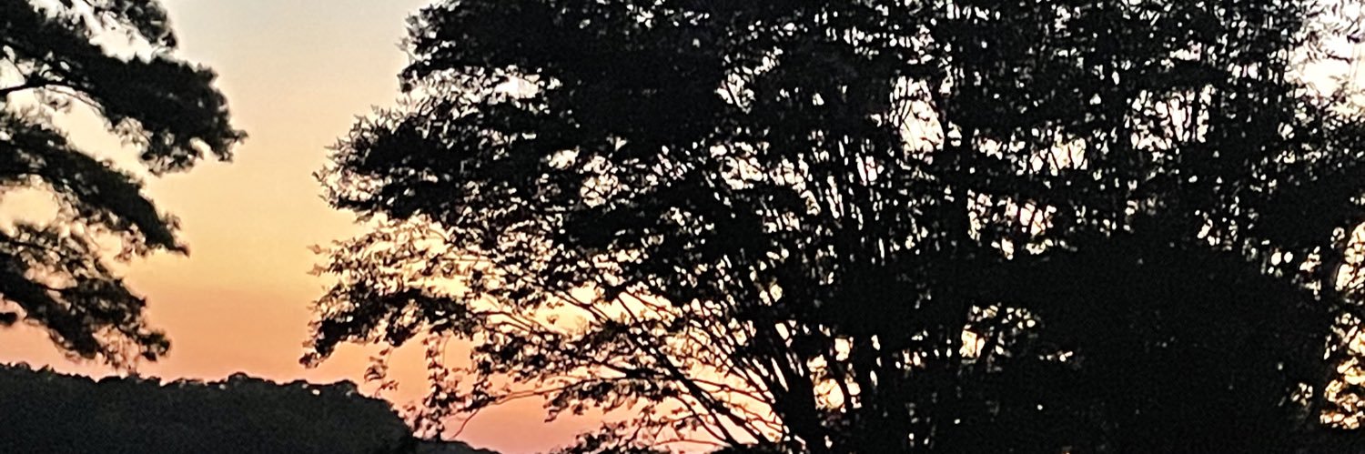 Jerred A. Johnson banner