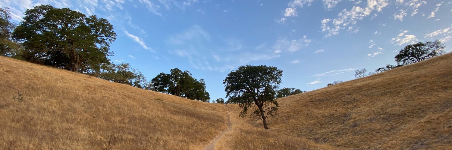 ViewfromMadrone's profile banner image