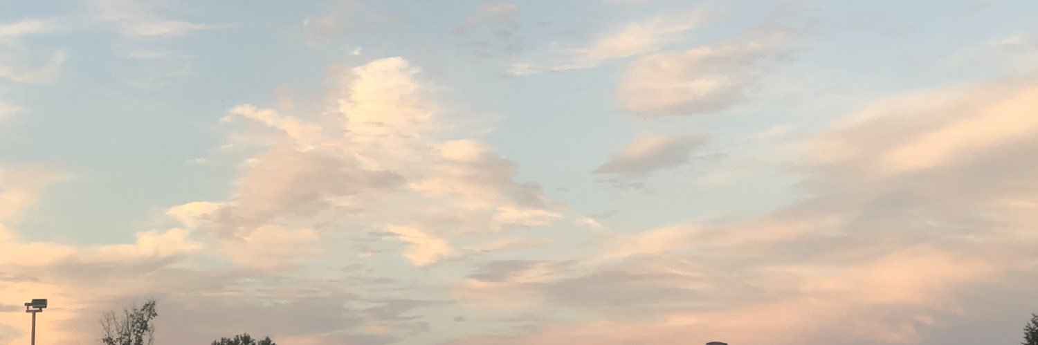bienlikebien's profile banner image
