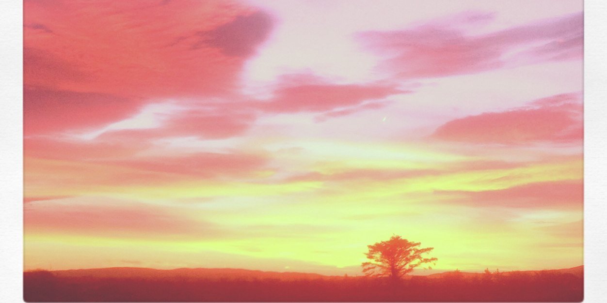mrscmcfeely's profile banner image