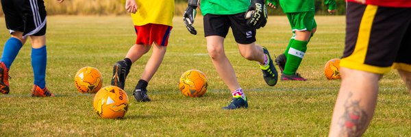 padnellrovers Profile Banner