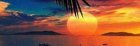 alvarezannery's profile banner image