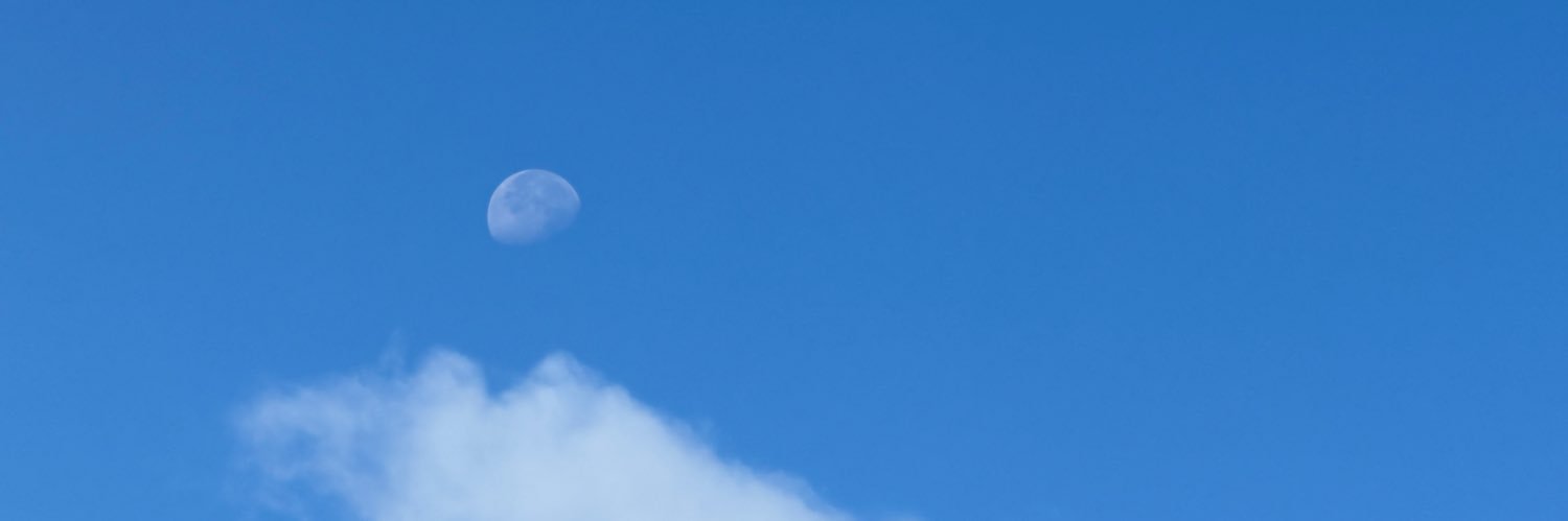 LynnzHunter's profile banner image