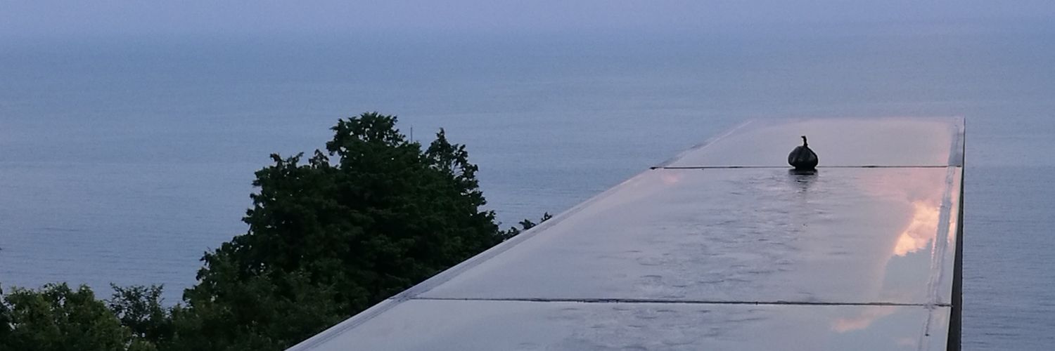 neidtok's profile banner image