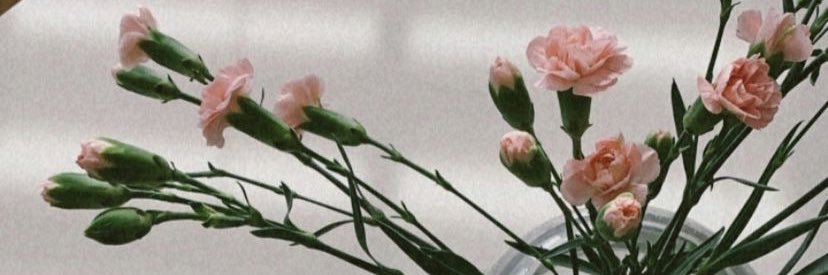 jodiefowler_x's profile banner image