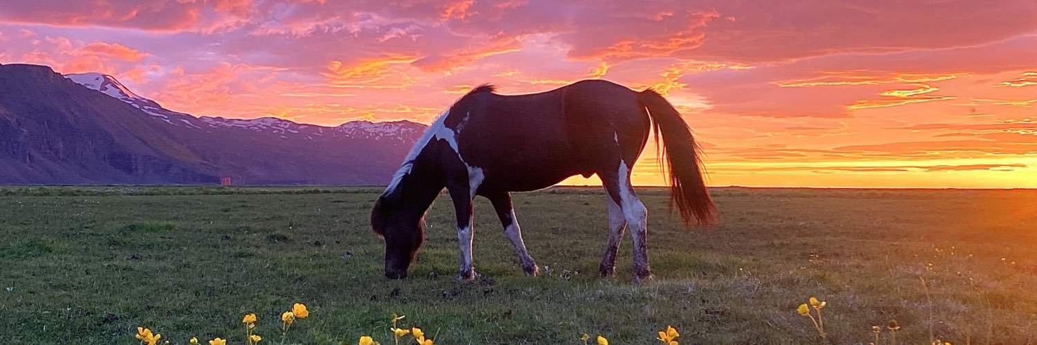 Hafrunfreyja's profile banner image