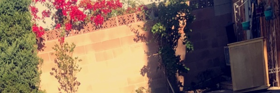 ama_vvs's profile banner image