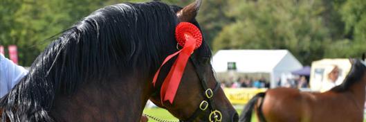 Usk_Show's profile banner image