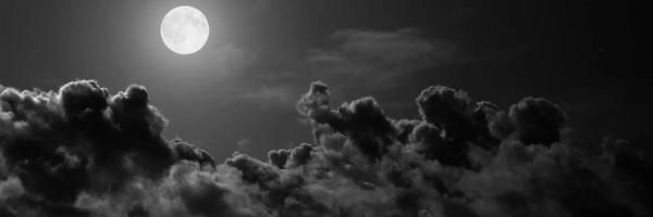 angeldk7 Profile Banner