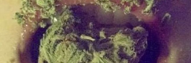 Tony_The_Tyler's profile banner image