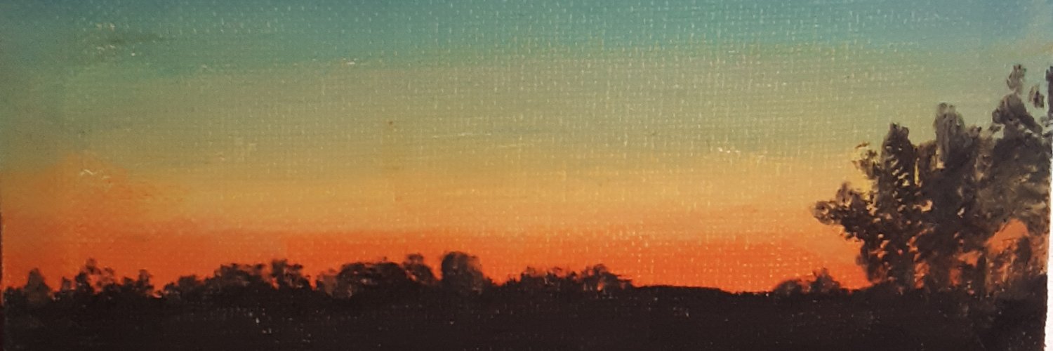 SLRinner's profile banner image