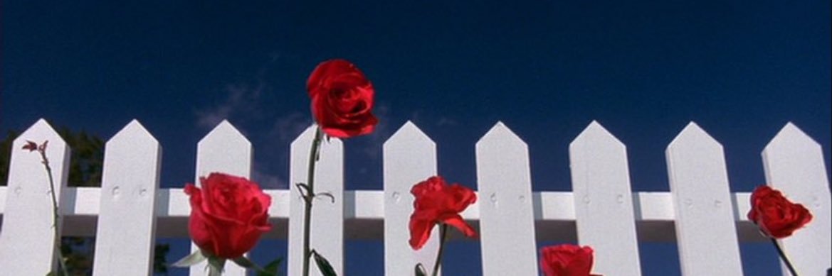 bothanspynet banner