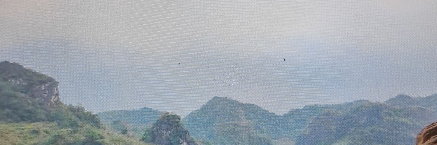DVannida's profile banner image