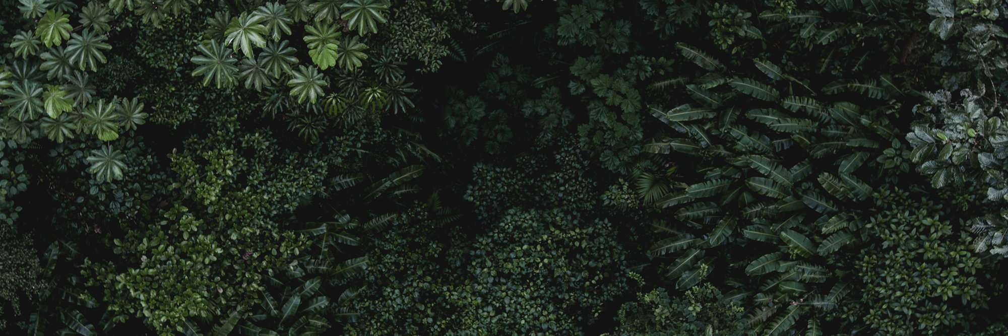 gretchfang's profile banner image