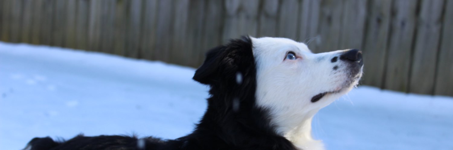 MorganAWoods1's profile banner image