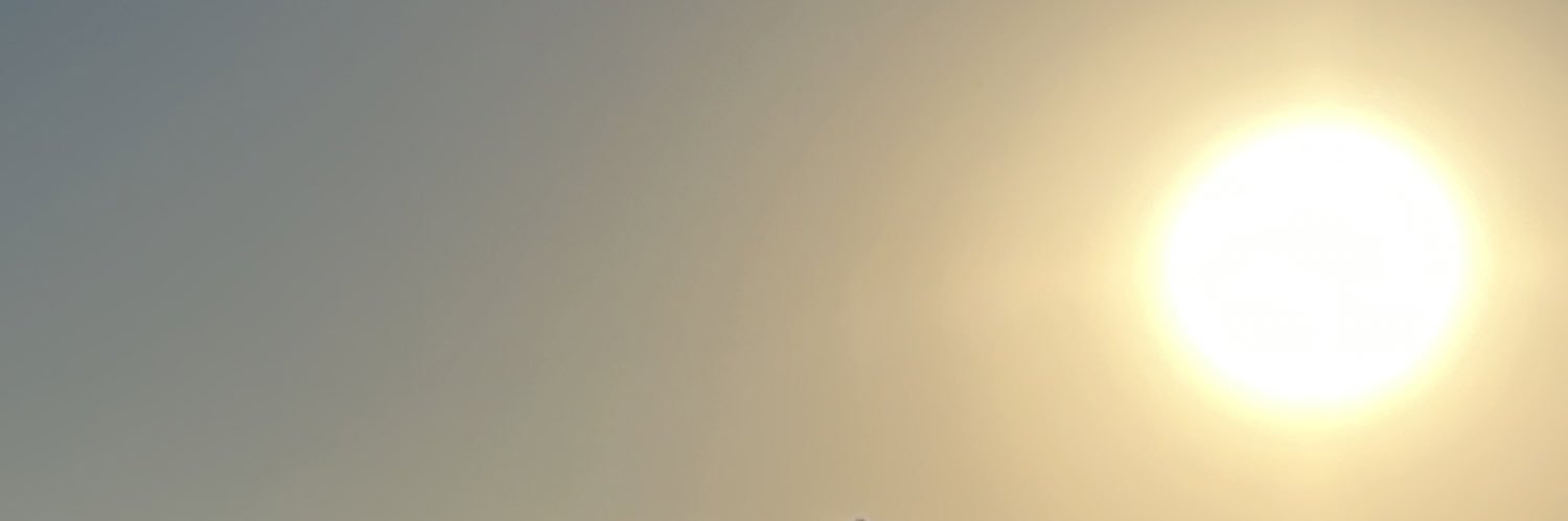soymartell's profile banner image