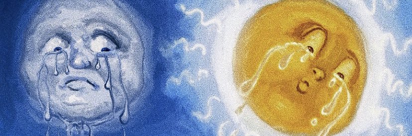 toeleia's profile banner image