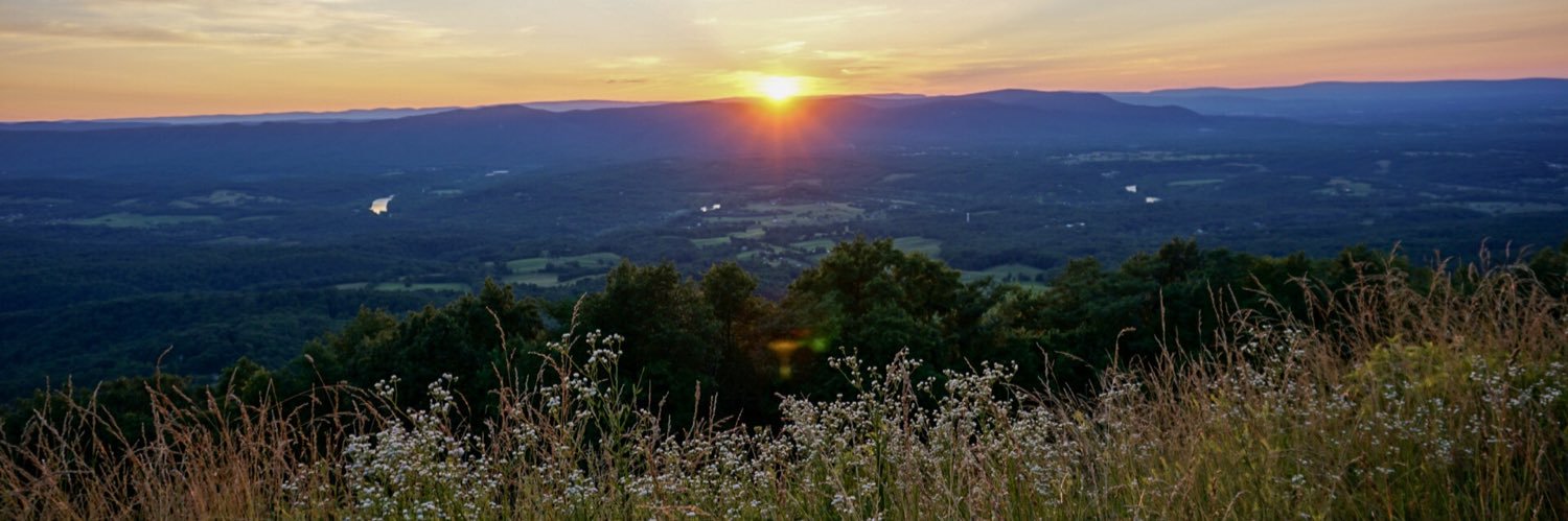 Lelys Dinarte-Diaz banner