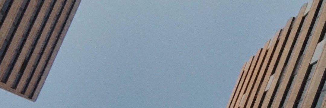 arevalx's profile banner image