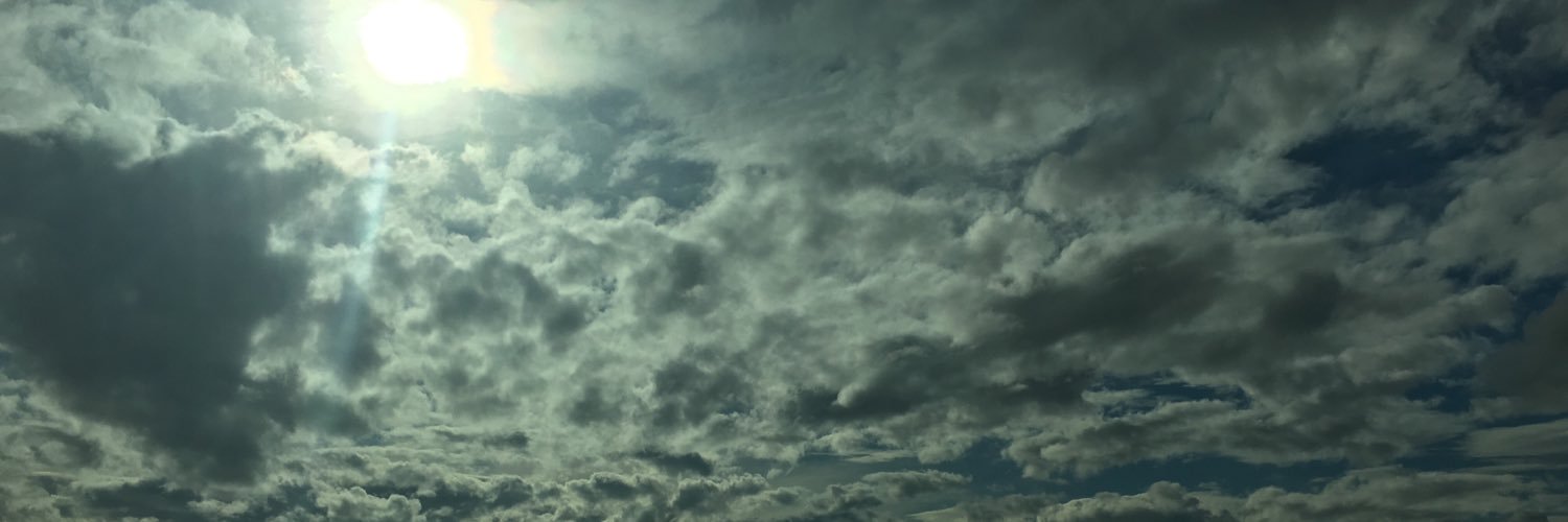 sleepyarts's profile banner image