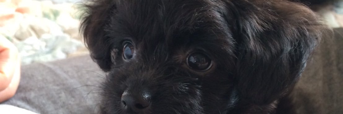 maryoryon's profile banner image