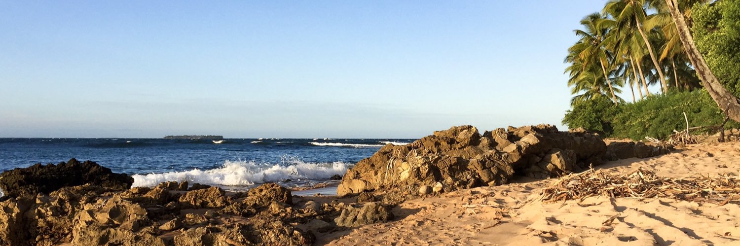 brenafrodrigues's profile banner image