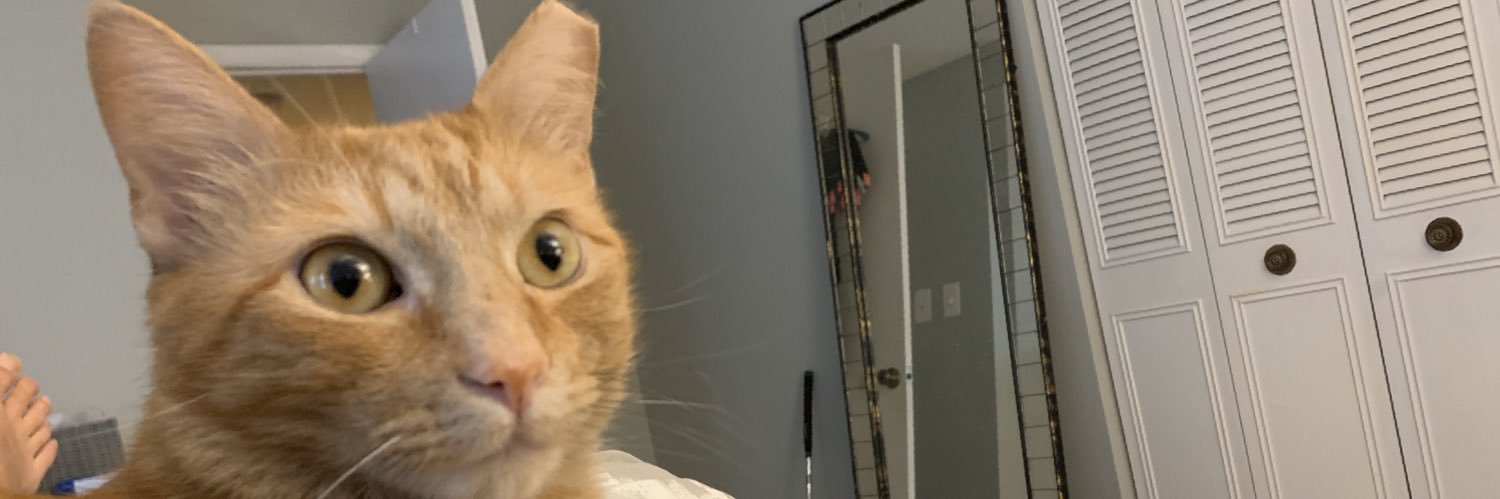 Nick_lttle's profile banner image