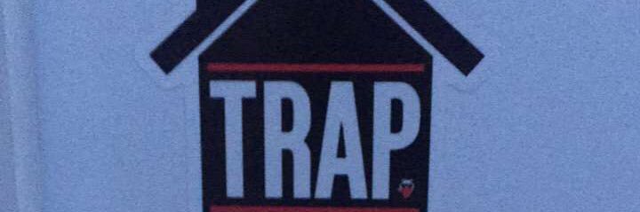 talgray11's profile banner image