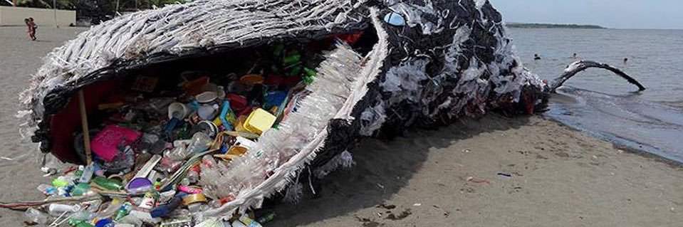 trashworld citizen🌲🐋🐝⛺️ banner