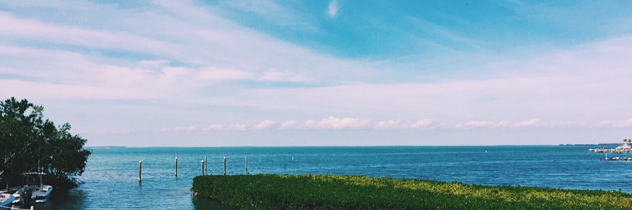 ReneElias_'s profile banner image