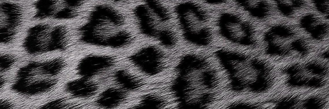 marevaas's profile banner image