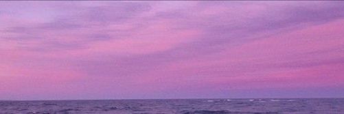 wolfsmendes's profile banner image