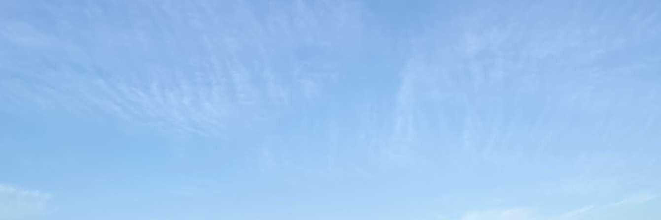 shefhoudini's profile banner image