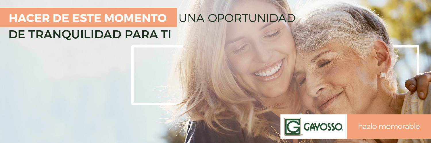 Gayosso Oficial banner