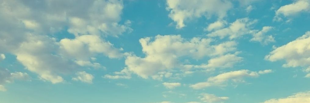 eneveia's profile banner image