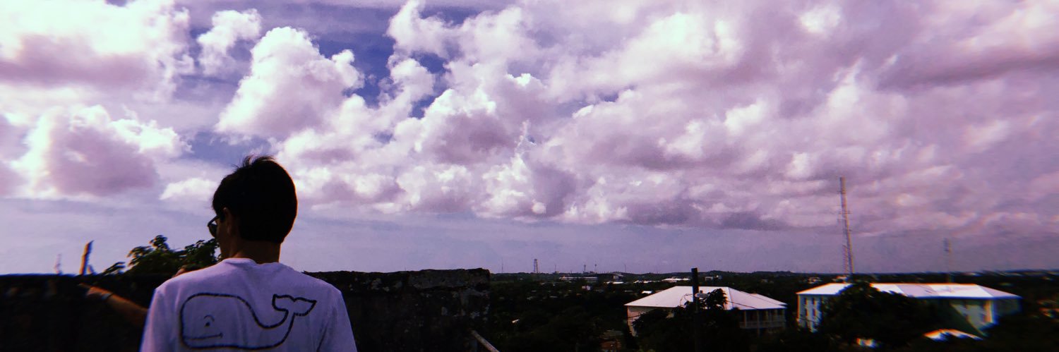 Lena Soenke banner
