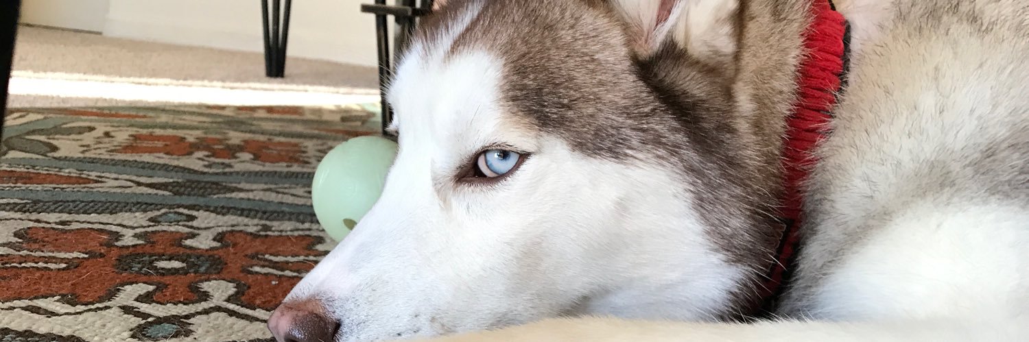 BranFlake23's profile banner image