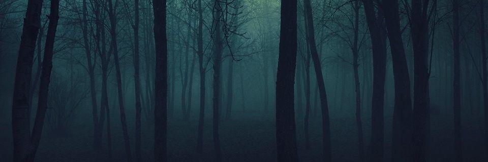 cccosme88's profile banner image