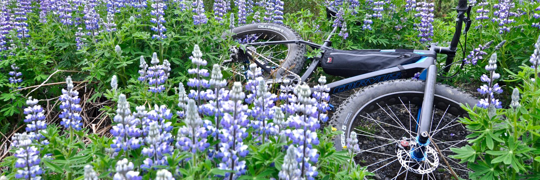 FatbackBikes's profile banner image