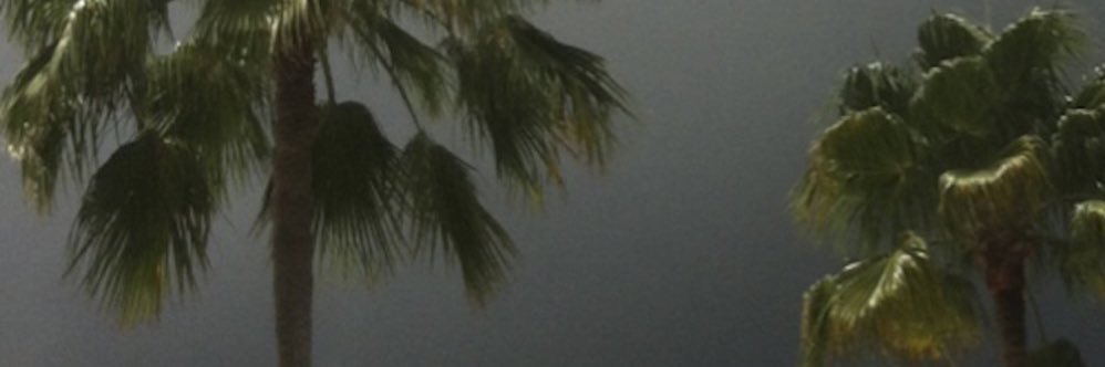 Zackthyng1's profile banner image