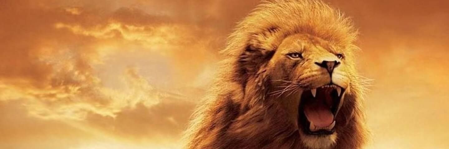 Maxthewavee's profile banner image