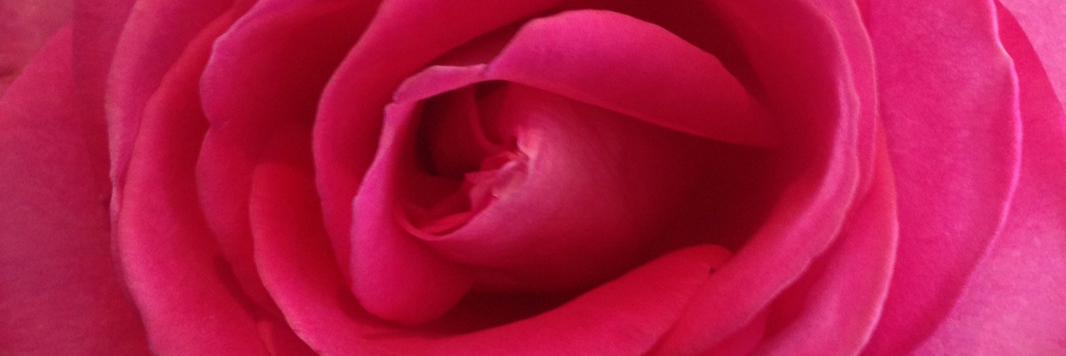 Carlasings's profile banner image