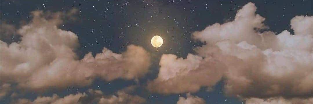 manarMFahmy's profile banner image