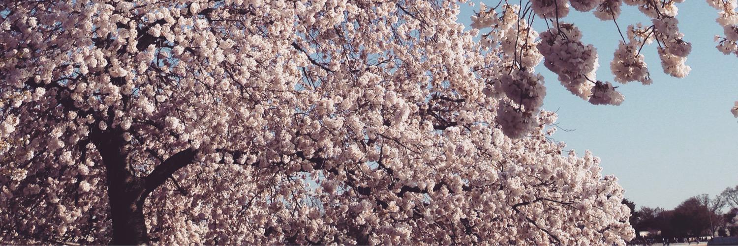 JFPark1's profile banner image