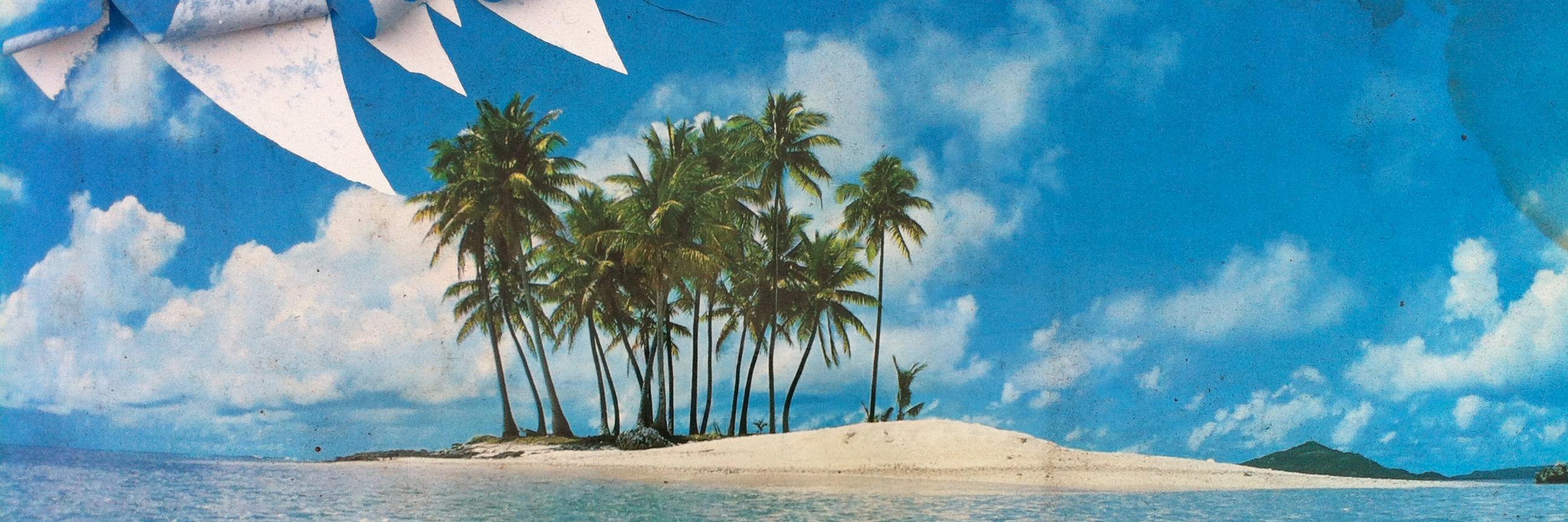 TheDavePalmtree's profile banner image