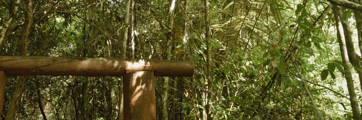 faggots for brains banner