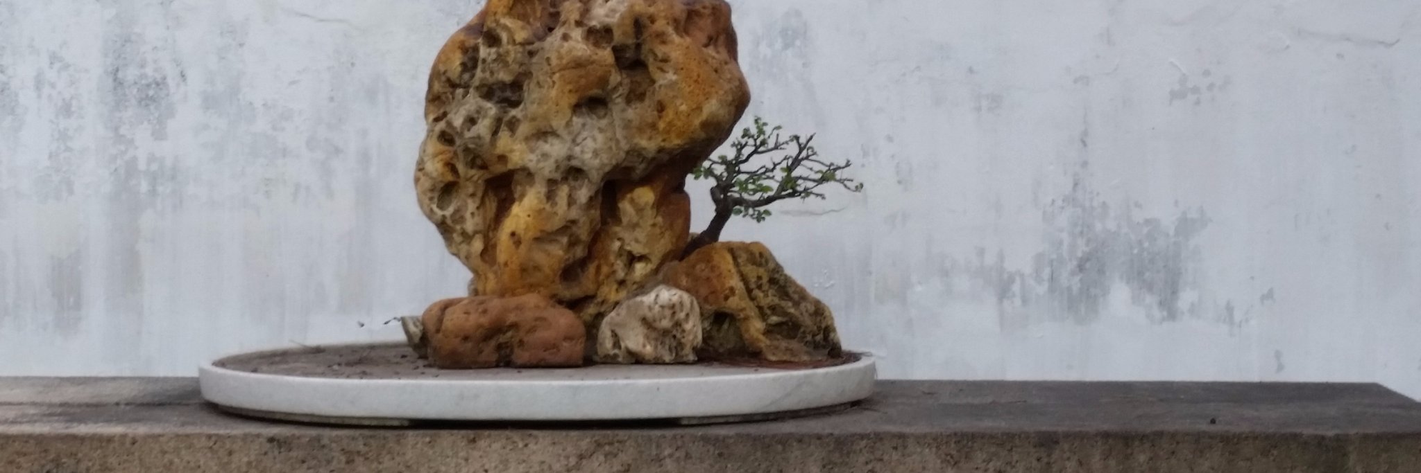 Joel Fitzpatrick banner