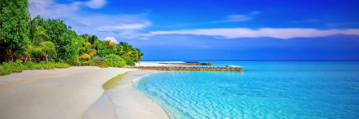 Alison Abbott banner